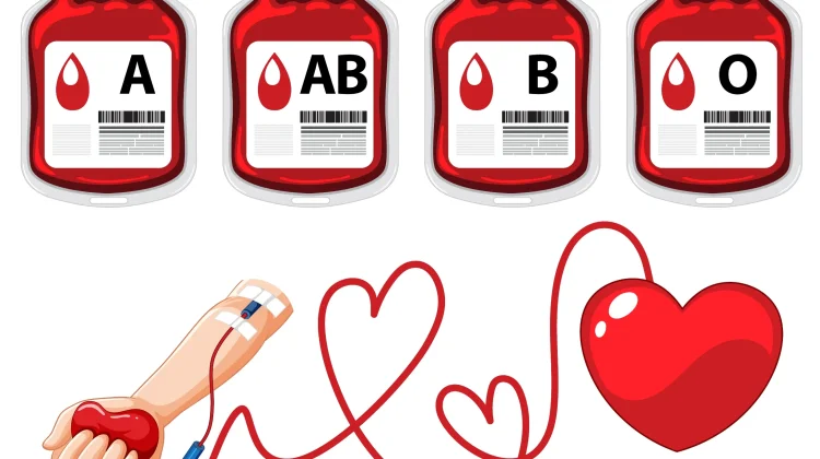 PMI Malang: Donor Darah Tetap Aman saat Berpuasa