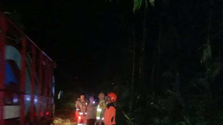 Rumpun Bambu Roboh Tutup Jalan Ngantang menuju Blitar