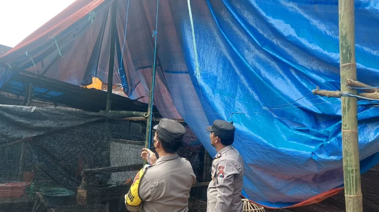 Polisi Bongkar Arena  Sabung Ayam di Pakisaji Malang