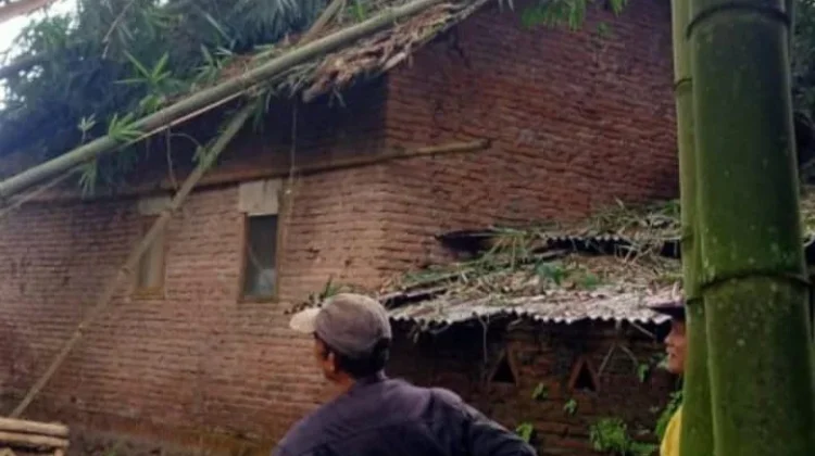 Angin Kencang Tumbangkan Pohon di Kepanjen
