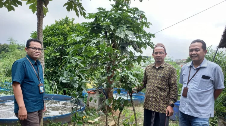 Ponpes Tahfidz Bani Yusuf Lowokaru Kota Malang Terima Bantuan Bibit Pohon