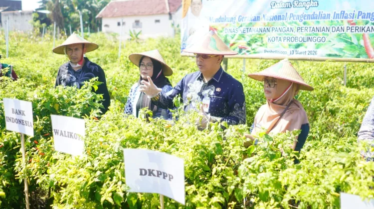 Wali Kota Probolinggo Dorong Inovasi Irigasi Tetes