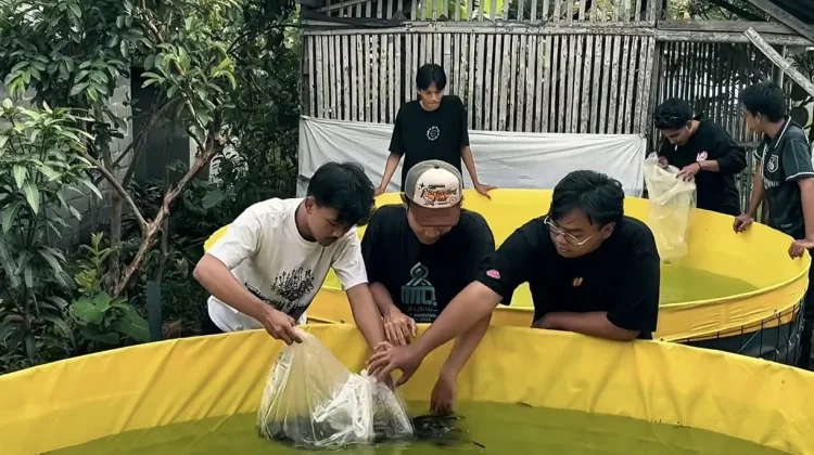 Mahasiswa UMM Kenalkan Budidaya Bioflok, Solusi Lahan Terbatas di Desa Kebobang