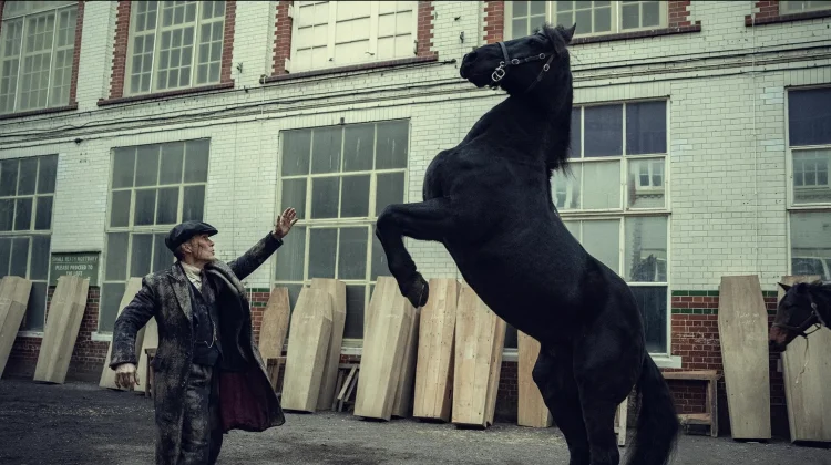 Peaky Blinders: The Immortal Man, Kelanjutan yang Dinantikan!