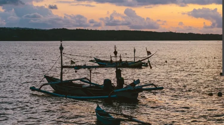 Rayakan Hari Nelayan: Pilih Ikan Segar Berkualitas Tinggi