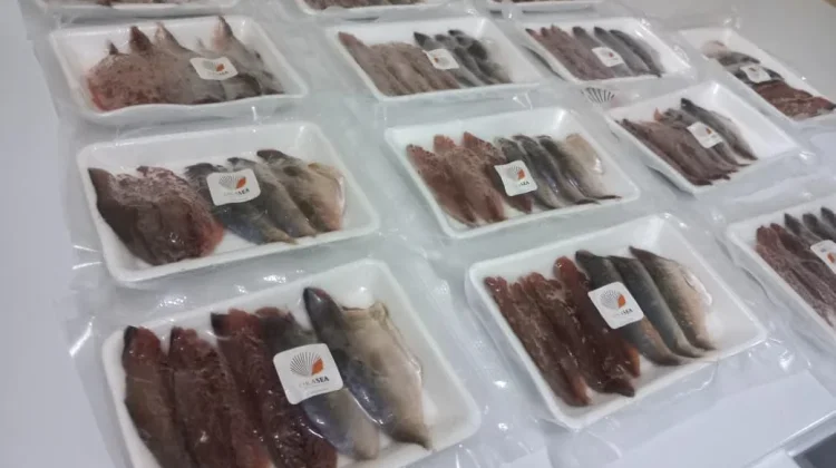 Okasea, Seafood Kemasan Mini untuk Ibu Rumah Tangga dan Anak Kos