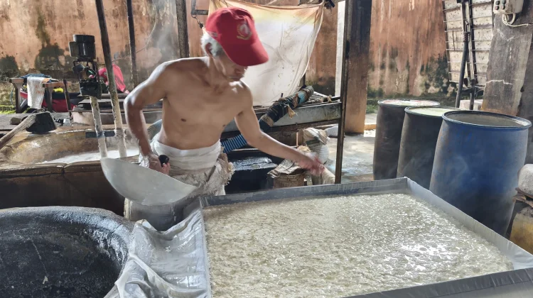 Harga Kedelai Naik, Produsen Tahu Kian Tertekan