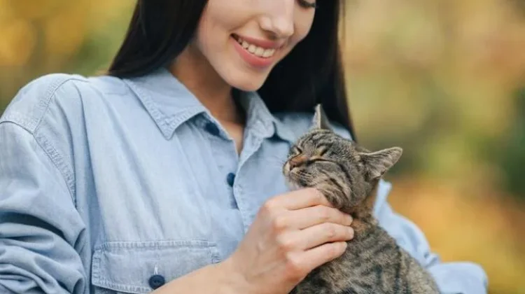 Ciri Kepribadian Pecinta Kucing Lebih Unik dan Cerdas