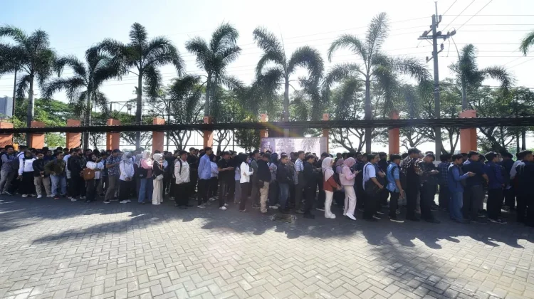 Mini Job Fair Kabupaten Pasuruan, Ribuan Pencaker Berebut 517 Loker