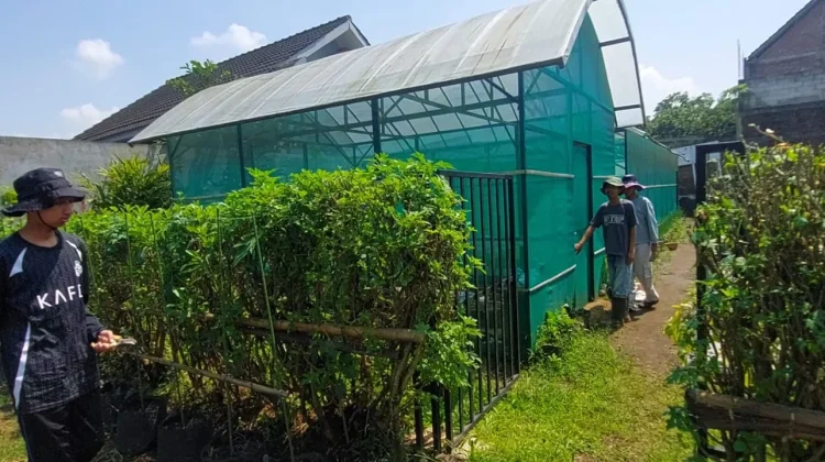 Pertanian Organik Butuh Kesiapan Mental dan Perubahan Pola Pikir Petani
