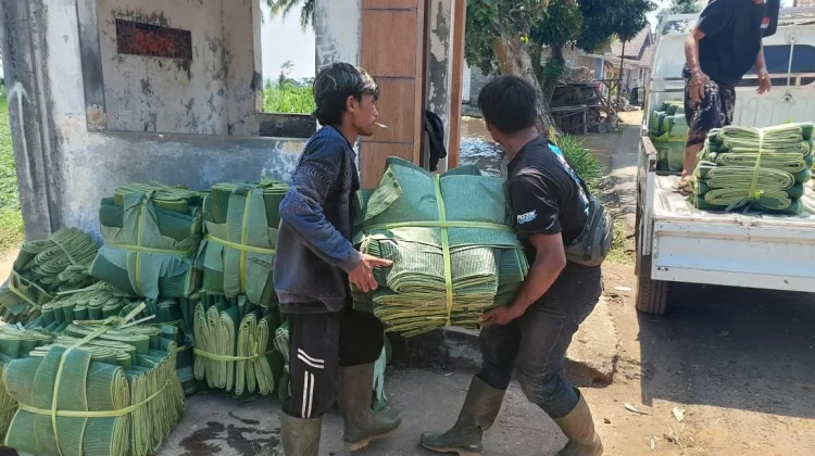Momentum Harga Plastik Naik, Penjual Daun Pisang Untung
