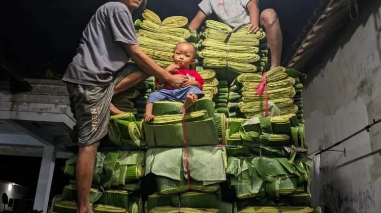 Usaha Daun Pisang Daun Empat Berlian Bidik Pasar Ekspor Singapura