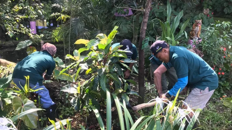 Penanaman Pohon Jaga Sumber Air Batu