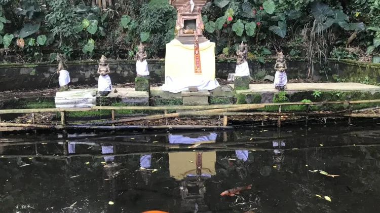 Kisah Sumber Dampul, dari Nyaris Mati hingga Pulih