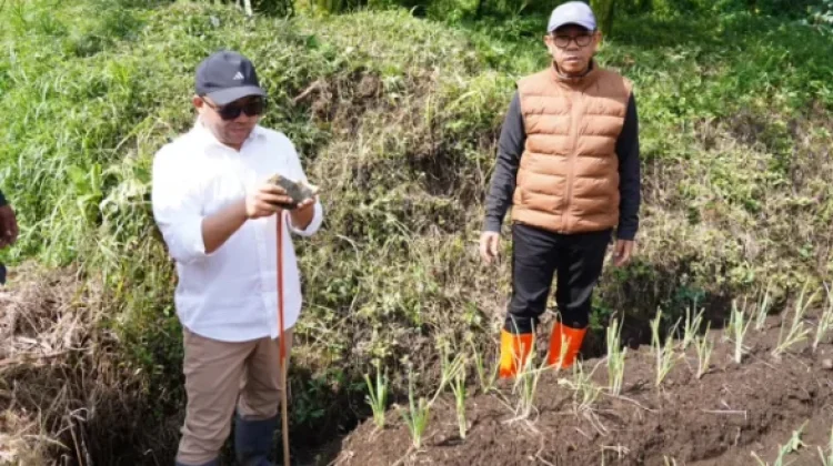 Regulasi Lahan Pertanian Pangan Berkelanjutan Lindungi Pertanian Kota Batu