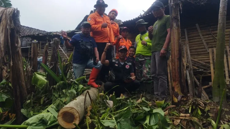 Pohon Tumbang Rusak Rumah Warga di Poncokusumo