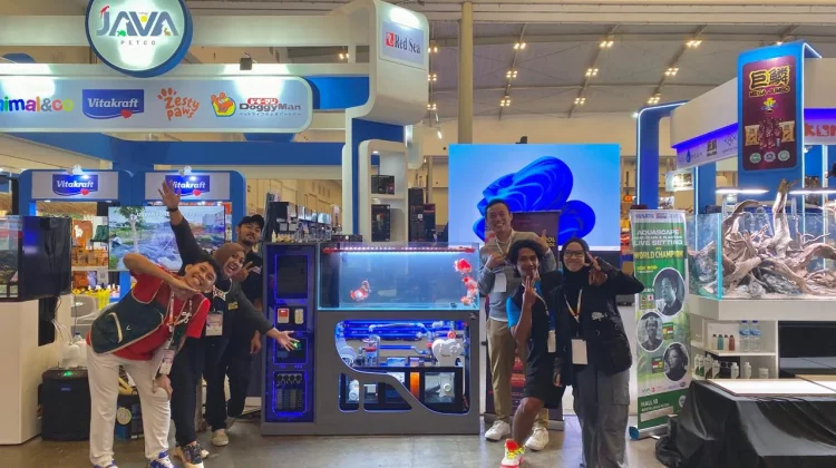 Perairan Stabil, Dari Hobi Ikan Predator hingga Jasa Setup Aquarium Profesional