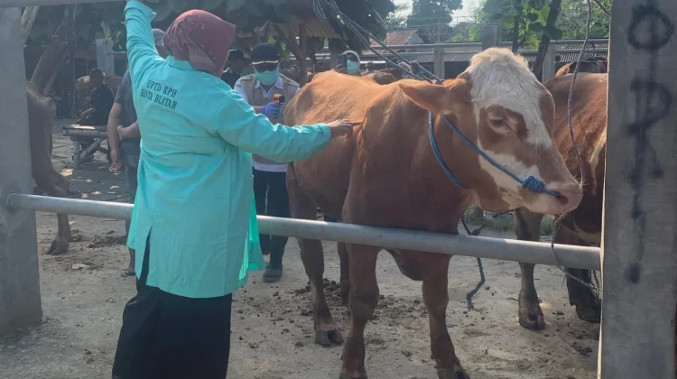 Cegah Penularan Penyakit, Panitia Kurban Diimbau Jaga Kebersihan