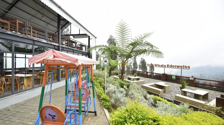 Taman Edelweis Wonokitri, Wisata dan Edukasi Bunga Abadi Khas Bromo