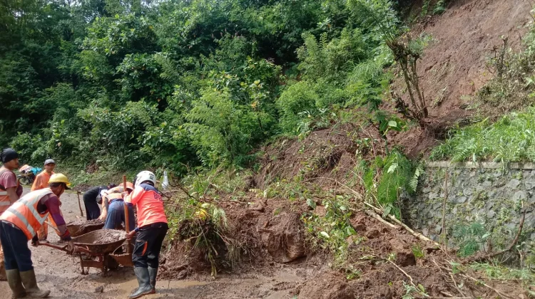 Tanah Longsor Sempat Tutup Jalur Malang - Lumajang, Kini Bisa Dilalui