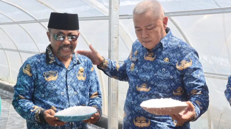 Garam Tunnel Sumberoto Donomulyo Malang Capai 8 Ton per Bulan, Omzet Rp20 Juta