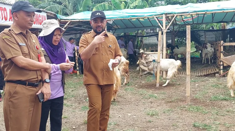 Pemkot Batu Sidak Hewan Kurban jelang Iduladha 1447 Hijriah