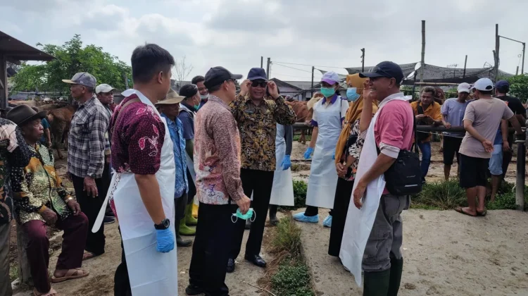 Kabupaten Malang Surplus Hewan Kurban