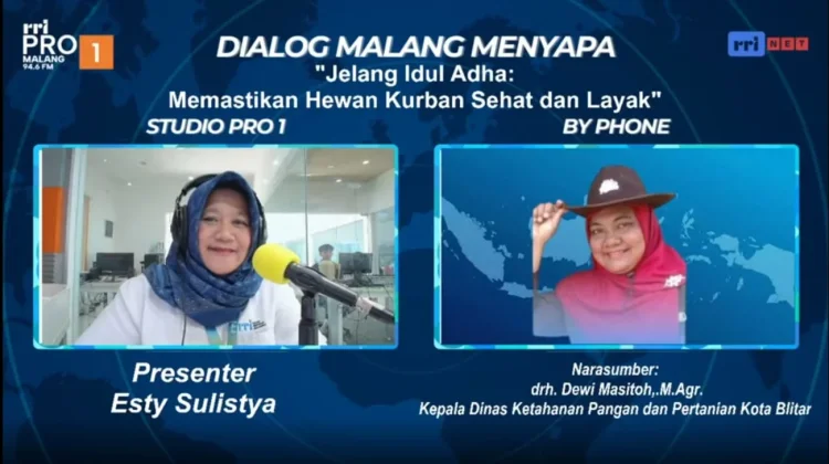 RPH Kota Blitar Kebanjiran Pendaftar Kurban, 110 Sapi Terjadwal saat Iduladha