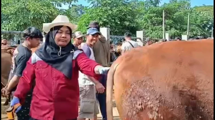 Dispangtan Kota Blitar Kerahkan 60 Petugas Awasi Hewan Kurban