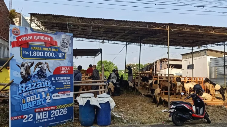 Inovasi Kurban “Anti Ribet”, dari Pilih Hewan hingga Distribusi Daging