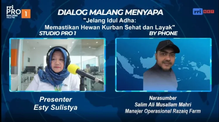 Harga Sapi Kurban Naik, Daya Beli Masyarakat Turun