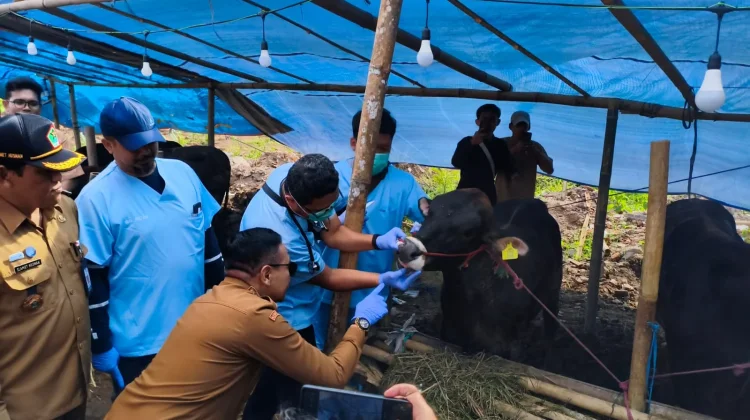 Wali Kota Malang Pastikan Hewan Kurban Layak dan Sehat
