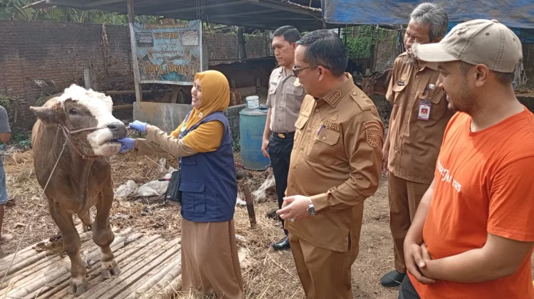 Menjelang Iduladha, Wali Kota Probolinggo Sidak Hewan Kurban
