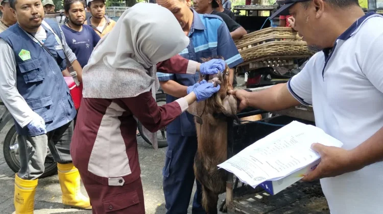 Pembagian Daging Hewan Kurban Dianjurkan Pakai Besek dan Plastik Food Grade