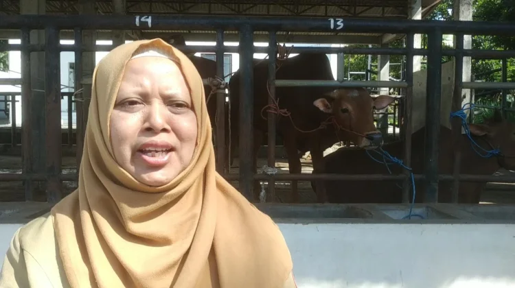 Distan-KP Kota Batu Cek Hewan Kurban di Seluruh Titik Potong