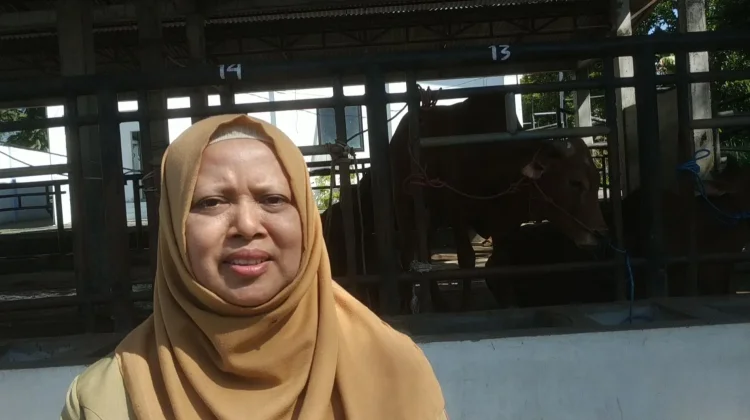Distan-KP Batu Perkuat Kesiapan Juleha jelang Iduladha 1447 Hijriah