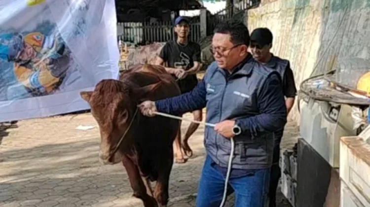Rayakan Iduladha, PLN UP3 Malang Bagikan 1.061 Paket Daging Kurban