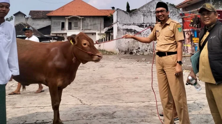 Pemkab Pasuruan Distribusikan 260 Sapi dan Kambing