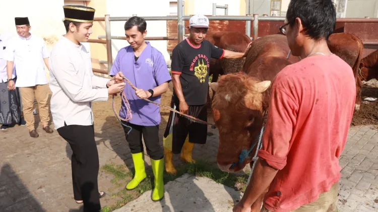Momentum Iduladha 1447 H, Polres Malang Salurkan Puluhan Hewan Kurban