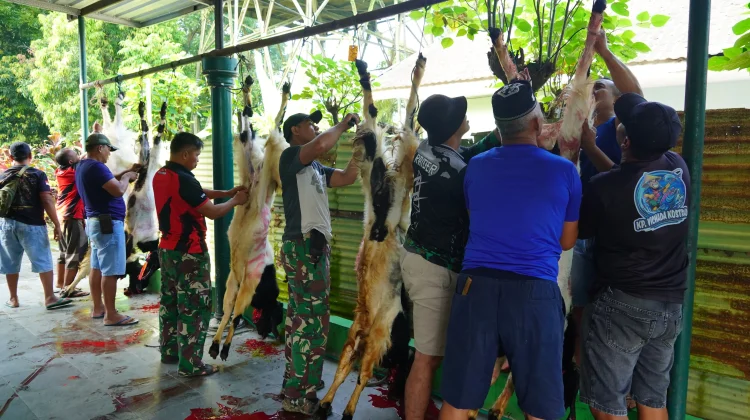 Idul Adha di Divif 2 Kostrad, Momentum Perkuat Keikhlasan dan Pengabdian Prajurit