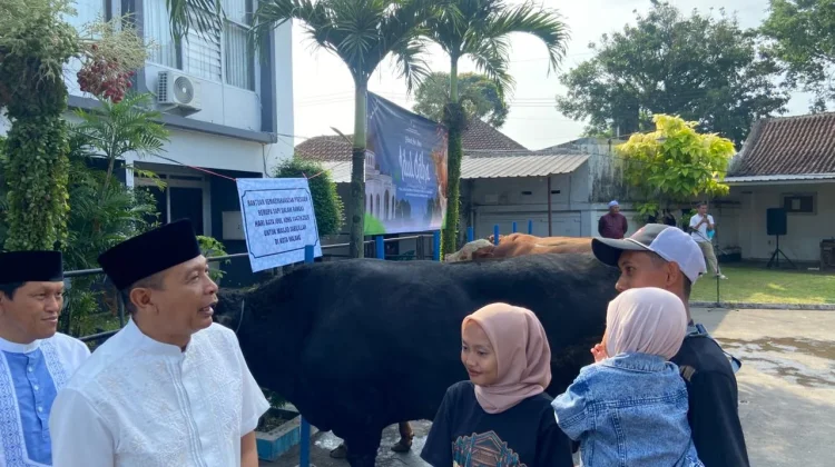 Sapi Kurban Bantuan Presiden Diserahkan ke Masjid Sabilillah