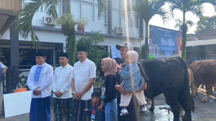 Sapi “Blackjack” Seberat 1 Ton Dibeli Presiden untuk Kurban di Kota Malang