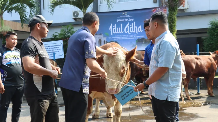 Polresta Malang Kota Siapkan 13 Sapi dan 27 Kambing Kurban untuk Masyarakat