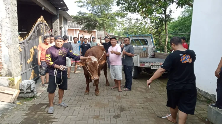 Makna Haji Jadi Spirit Perbaikan Diri di Idul Adha 1447 Hijriah