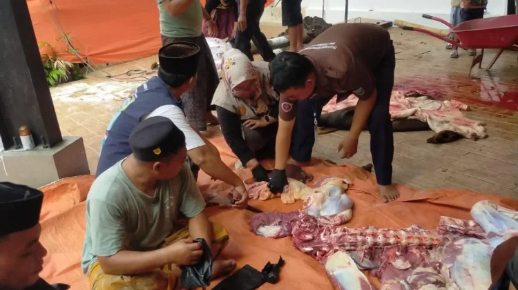 Kasus Cacing Hati Ditemukan di Probolinggo