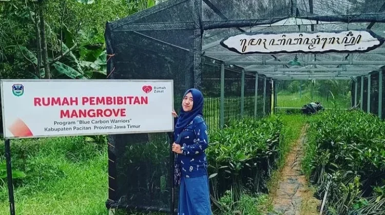 Serunya Wisata Edukasi Pacitan: Watumejo Mangrove Park