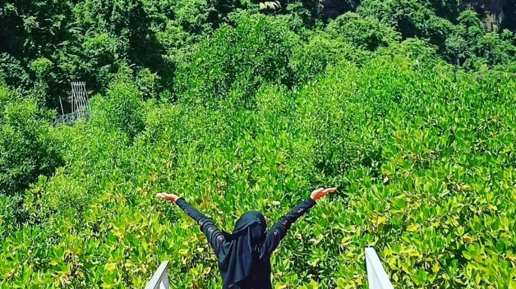 Serunya Wisata Edukasi Pacitan: Watumejo Mangrove Park
