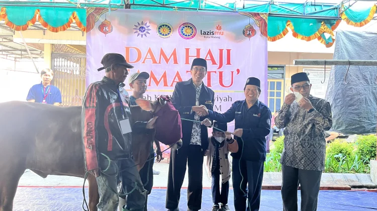 PDM Kota Malang Kelola Pemotongan Dam Jamaah Haji Tamattu' KBIHU RSI Aisyiyah 1447 H