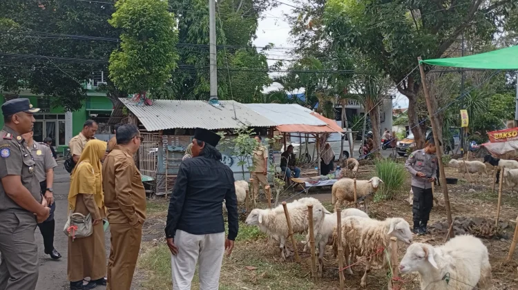 Idul Adha Gerakkan Ekonomi Rp25,3 Miliar di Kabupaten Probolinggo