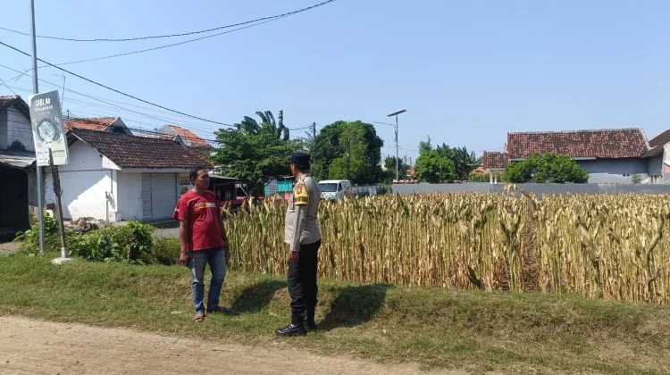 Perkuat Ketahanan Pangan, Polisi Beri Motivasi Petani